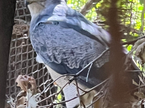 Refugio Animal Cascada-圣若泽迈坡必去景点