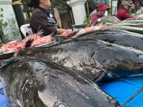 早市-琅勃拉邦必去景点