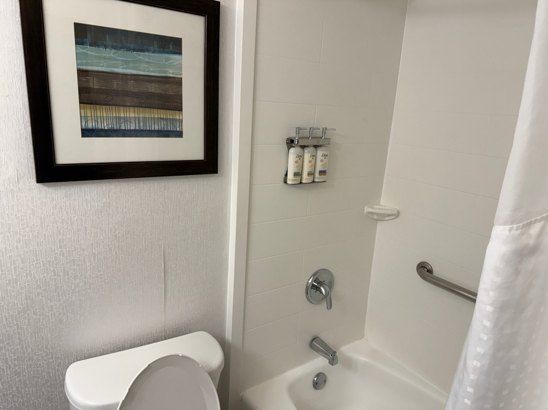 奥弗兰德公园西假日套房酒店主图