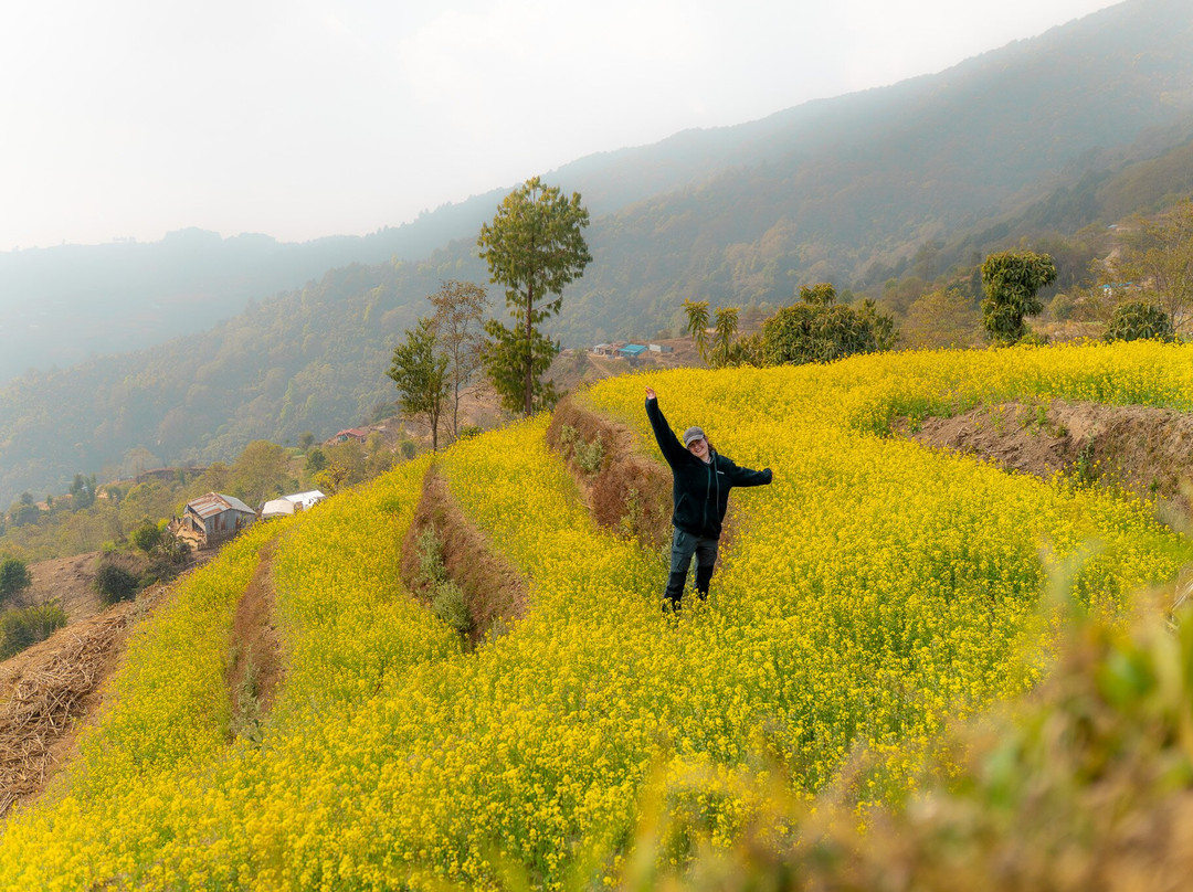 Time to Nepal Treks and Tours Pvt Ltd-加德满都必去景点