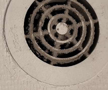 斯特拉斯堡德利酒店主图