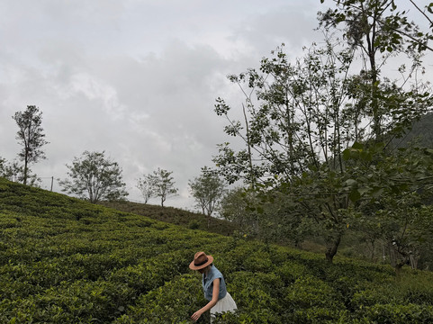 Sri Lanka Kavi Tours-卡卢特勒必去景点
