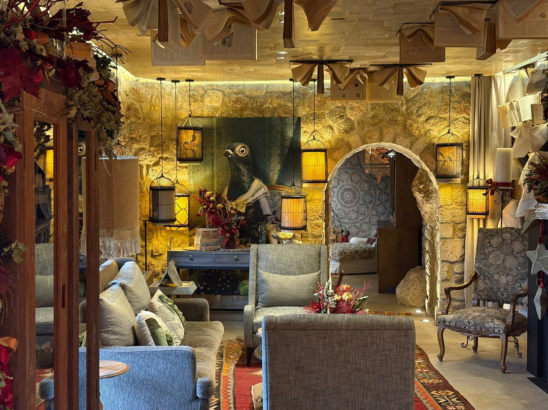 Area Synest - All Day Nature-Egira必去景点