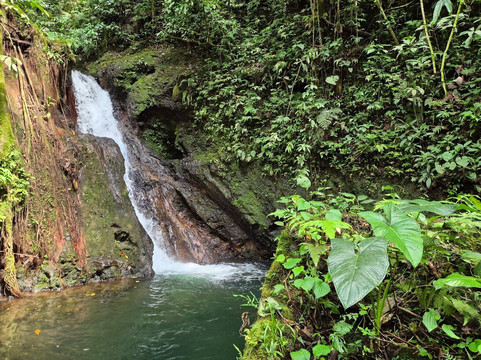 Steel Horse Colombia-Filandia必去景点