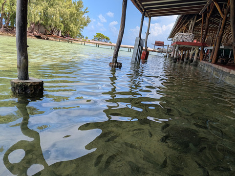 Motu Aito Paradise主图