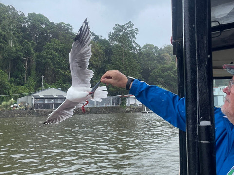Catch a Crab-堤维德岬必去景点