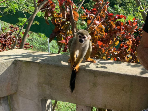 OlympiaOnBoard-Las Galeras必去景点