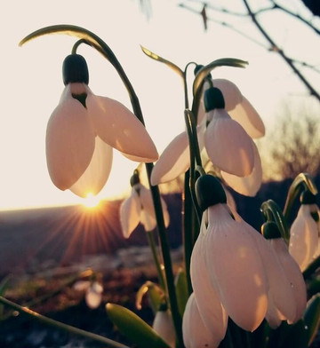 Nature Reserve Eselschwanz-圣马格雷滕必去景点