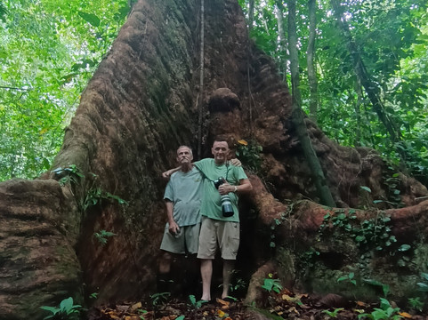 Ave Azul de la Osa-Carate必去景点