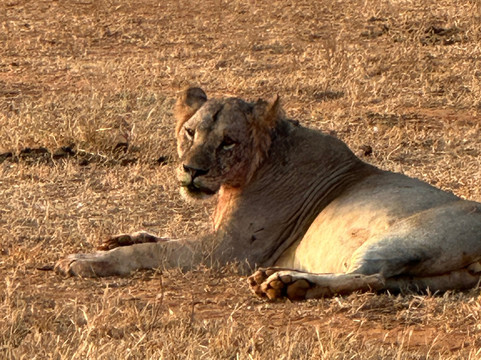 Malik Safari-马林地必去景点
