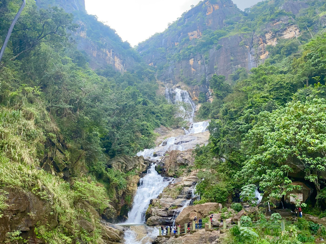Luster Blue Tours-加勒必去景点
