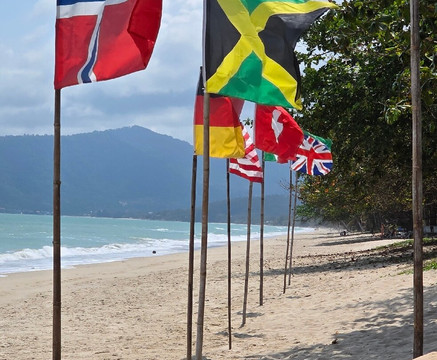 Johnny Bar-卡农必去景点