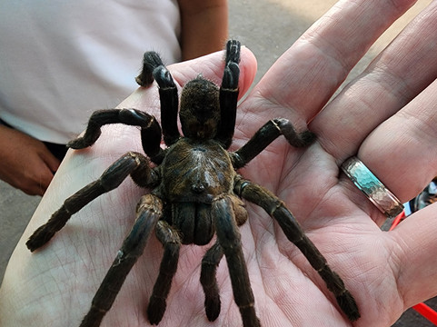 Cambodia Taxi-金边必去景点
