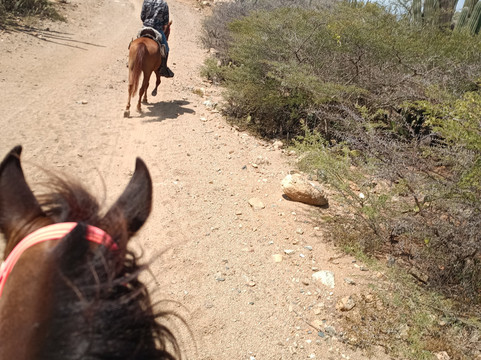 Rancho Loco-Santa Cruz必去景点