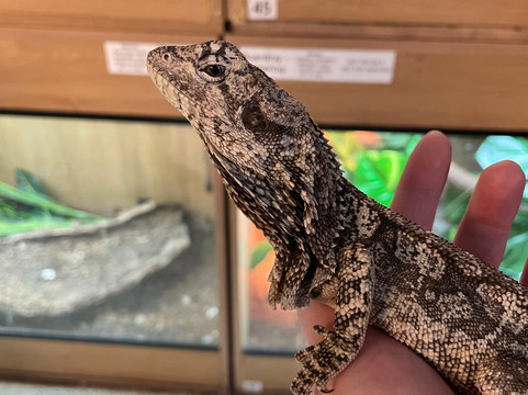 Crocs R Us-Filton必去景点