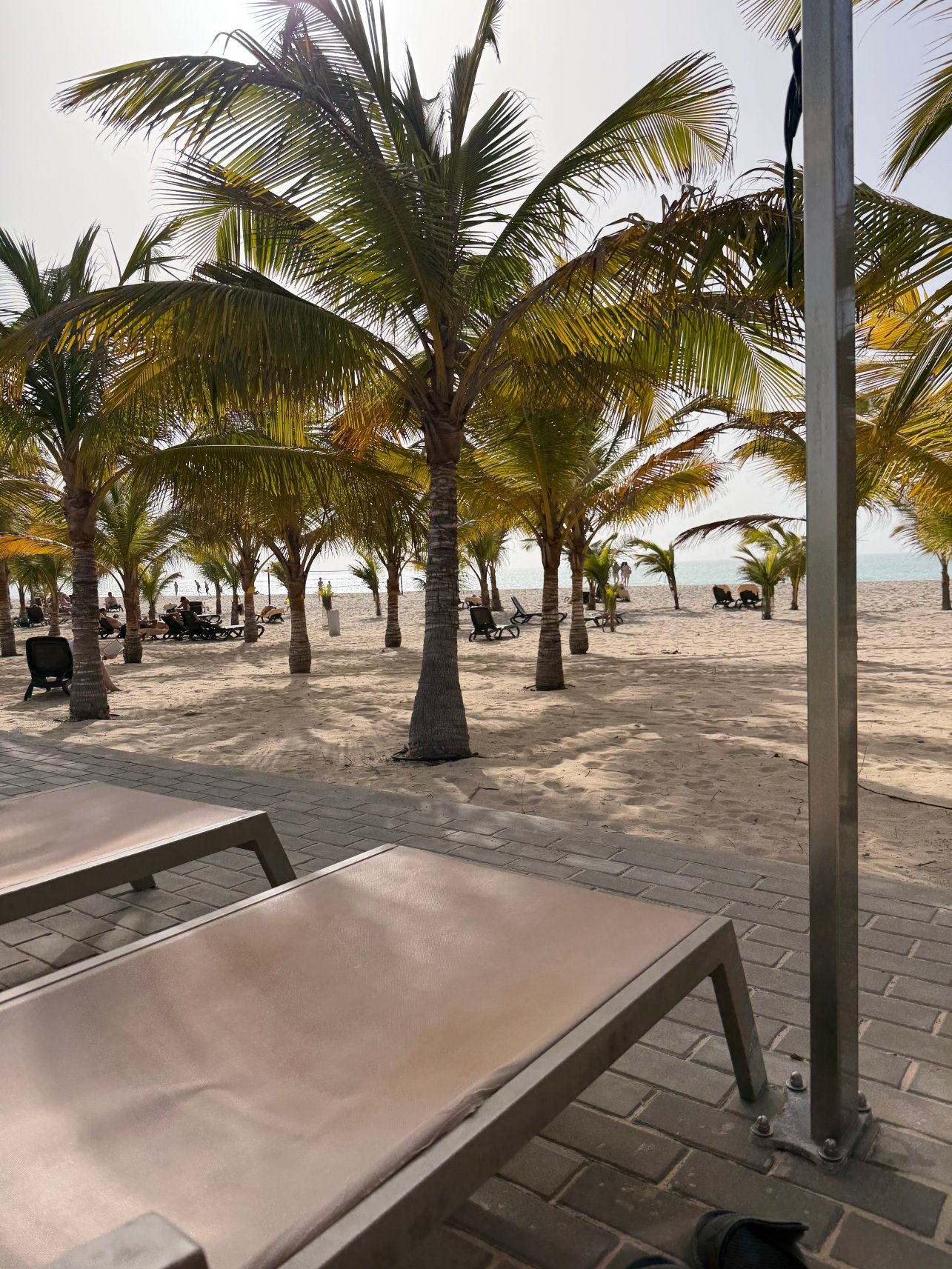 丽笙宫殿酒店博阿维斯塔 - 全包-泳池