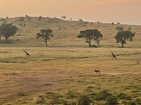 Watamu Diego Safari Day Tours-瓦塔木必去景点