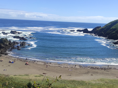 Reserva Punta Curinanco-瓦尔迪维亚必去景点