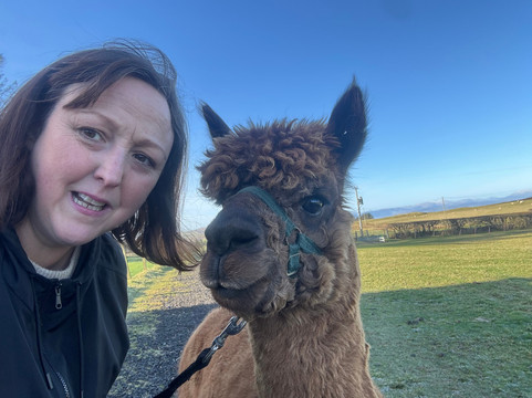 Larch Green Alpacas-格拉斯哥必去景点