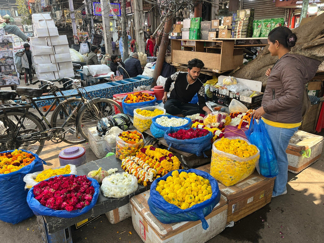 India We Drive-新德里必去景点