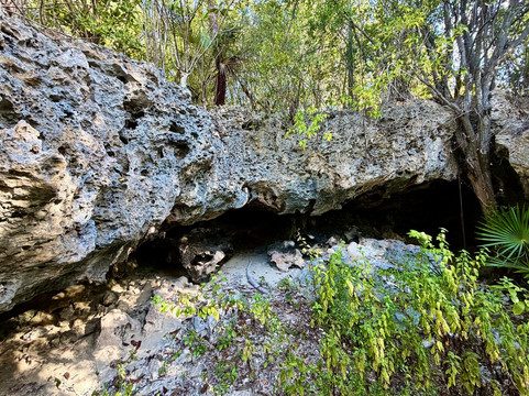ECO Rides Cayman-East End必去景点