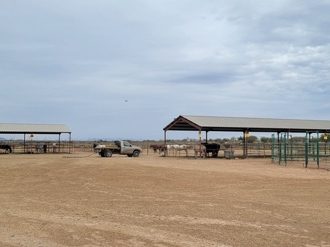 KOLI Equestrian Center-钱德勒必去景点