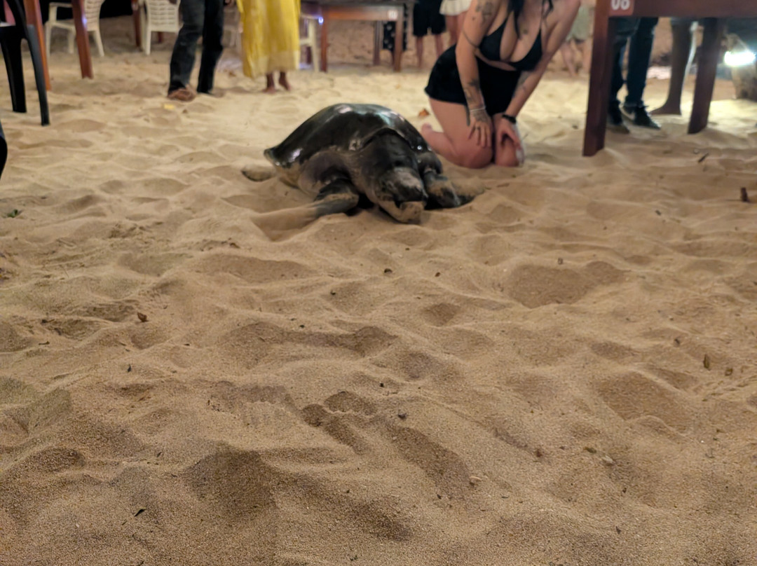 Sri Lanka Round Trip-加勒必去景点