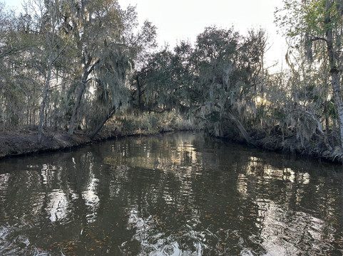 Louisiana Swamp Tours-布里奥克斯桥必去景点