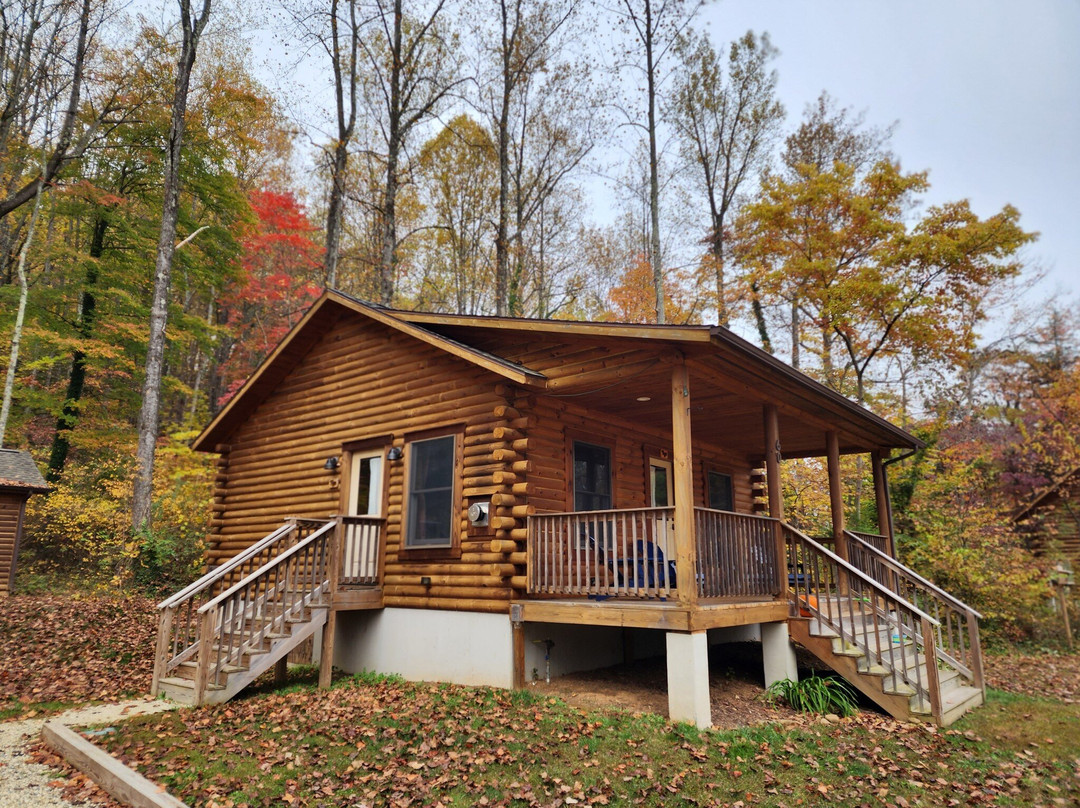 Beech Grove Cabins