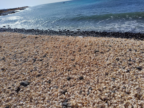 Shell Cemetery Beach