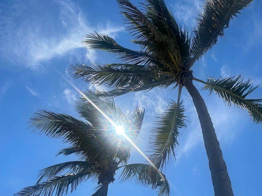 艾胥利布鲁克海滩度假村主图