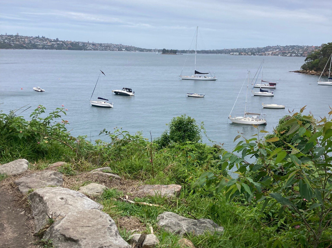 悉尼湾国家公园-莫斯曼必去景点