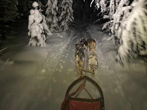 Wild Lapland-Rusktrask必去景点