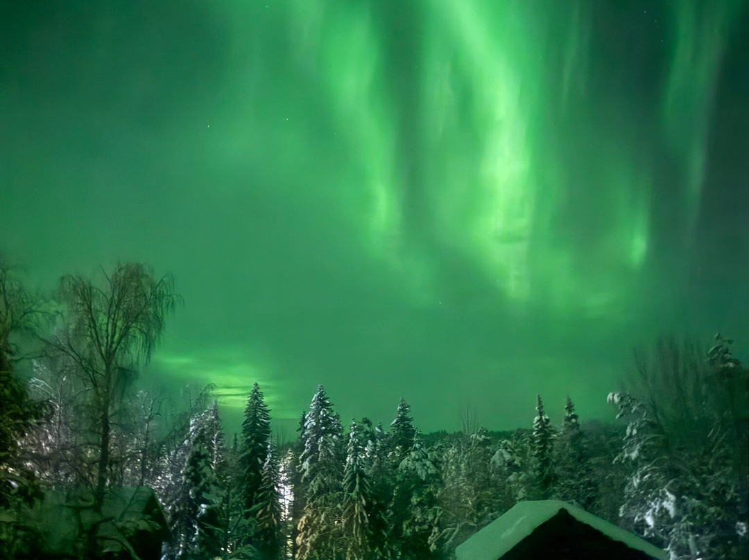 Petter Karlsson Sleddogs-Slussfors必去景点