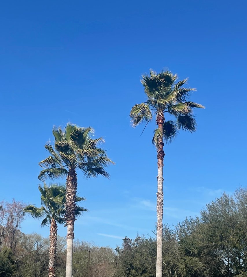 希尔顿欢朋套房酒店-杰克逊维尔机场-浴室