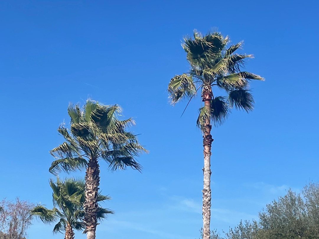 希尔顿欢朋套房酒店-杰克逊维尔机场主图