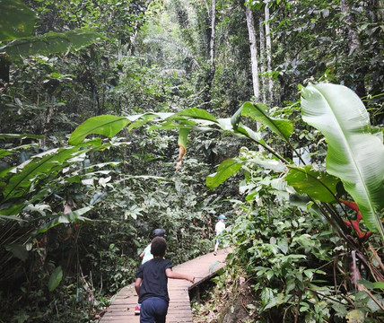 Sentier du Rorota-Remire-Montjoly必去景点