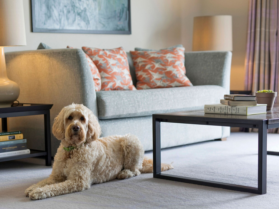 另一个地方，马赫里主图