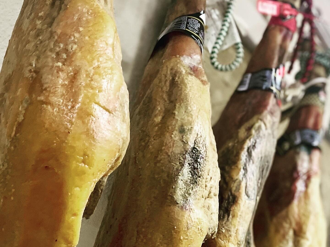 Los Secretos De Mi Tierra