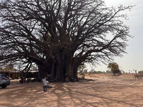 Max Sakho Chauffeur Guide-Saly必去景点
