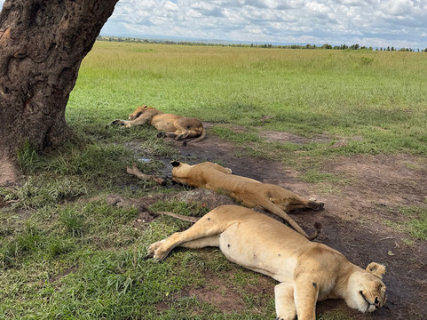 Bigfoot Adventures-内罗毕必去景点