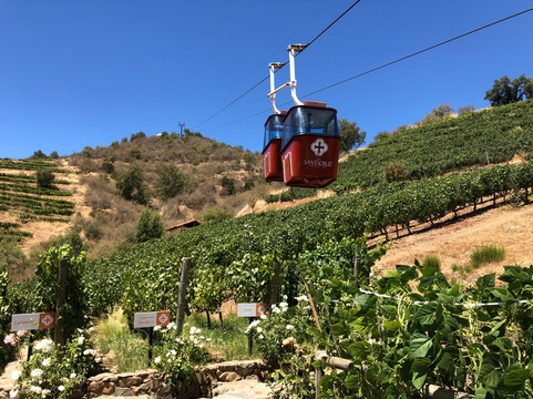 Viña Santa Cruz-Lolol必去景点