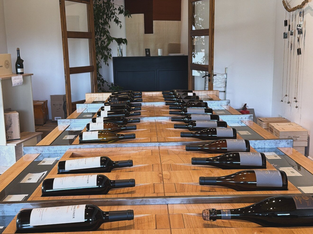 Bodega Nieto Senetiner-路冉得库约必去景点