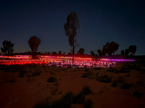 Field of Light-乌鲁鲁-卡塔丘塔国家公园必去景点
