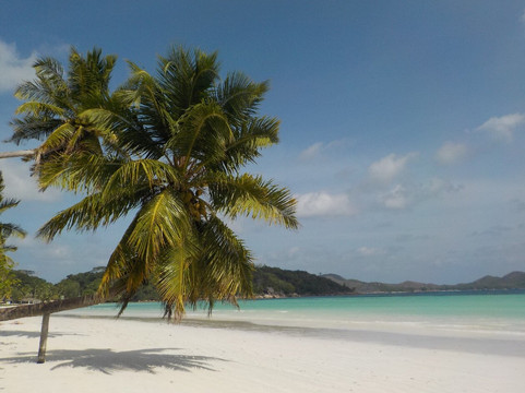 Coconut Services Seychelles-Baie Ste Anne必去景点