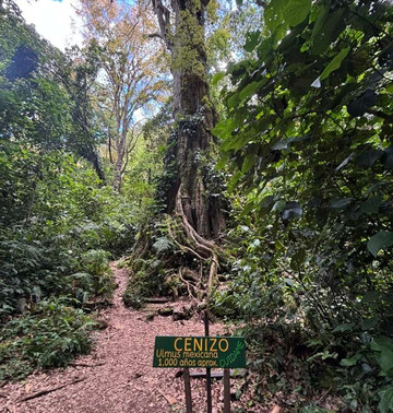 Pipeline Trail-波魁特必去景点