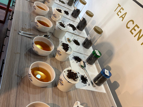 Camellia Tea Centre-Katukitula必去景点