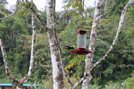 幸运巴格住宿加早餐旅馆-官方