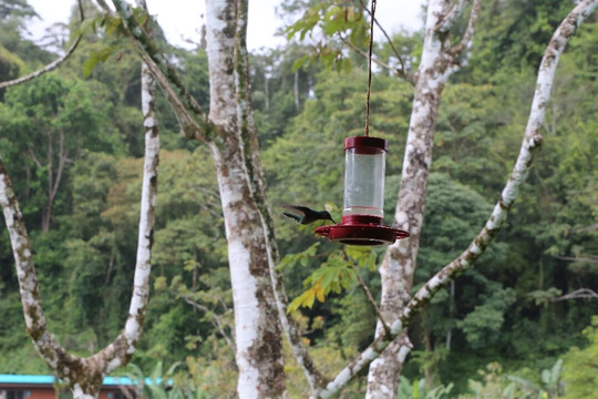 幸运巴格住宿加早餐旅馆主图