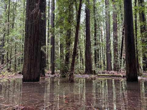 Humboldt Redwoods State Park-Weott必去景点